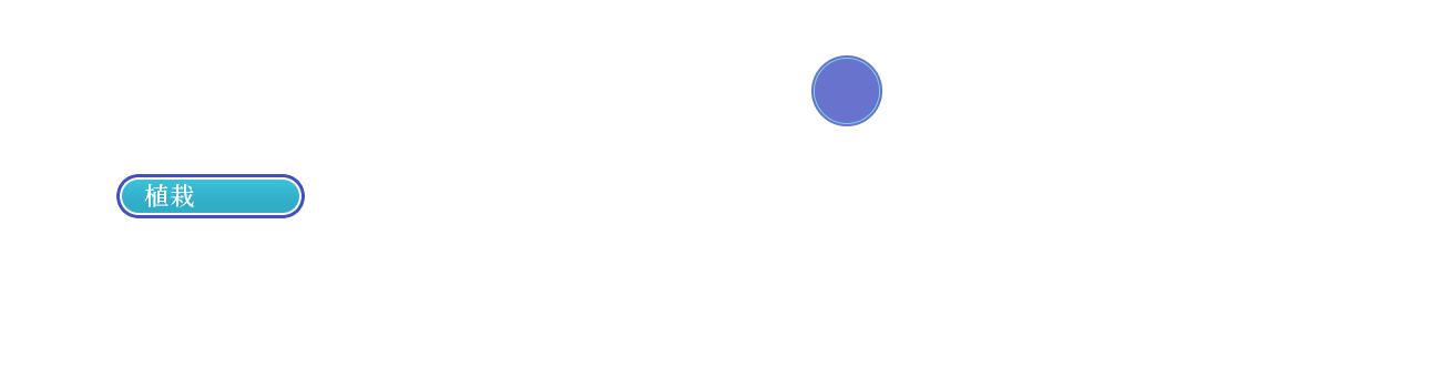 design01_btn_on03